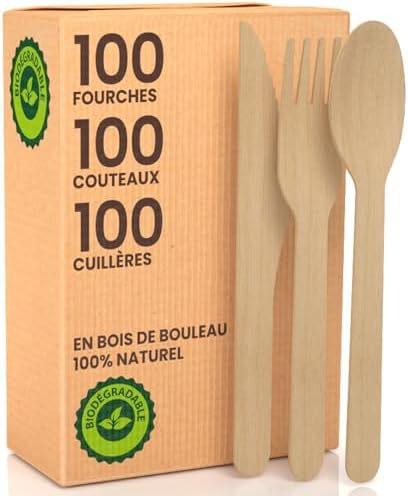 1000 Cuillères Écologiques Bois Bouleau Jetables 100 % Naturels Biodégradables Compostables