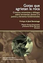 Gotas que agrietan la roca: Crónicas, entrevistas y diálogos sobre territorios y acceso a la justicia (Temas para el Diálogo y el Debate)