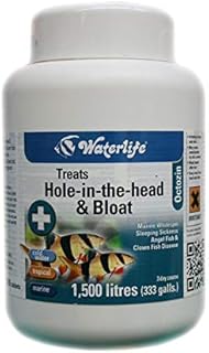 Waterlife Octozin 200 Tablets Dropsy & Hole In The Head