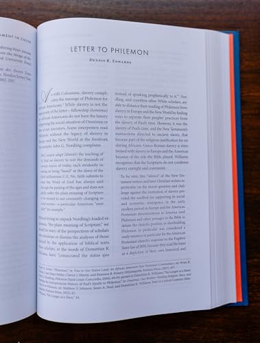Image of The New Testament in Color: A Multiethnic Bible Commentary