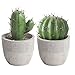 Artificial Potted Cactus Fake Plants: 2pcs Decorative Plants in Pots Faux Cacti Greenery Arrangement for Farmhouse Centerpiece Windowsill Shelf Desk
