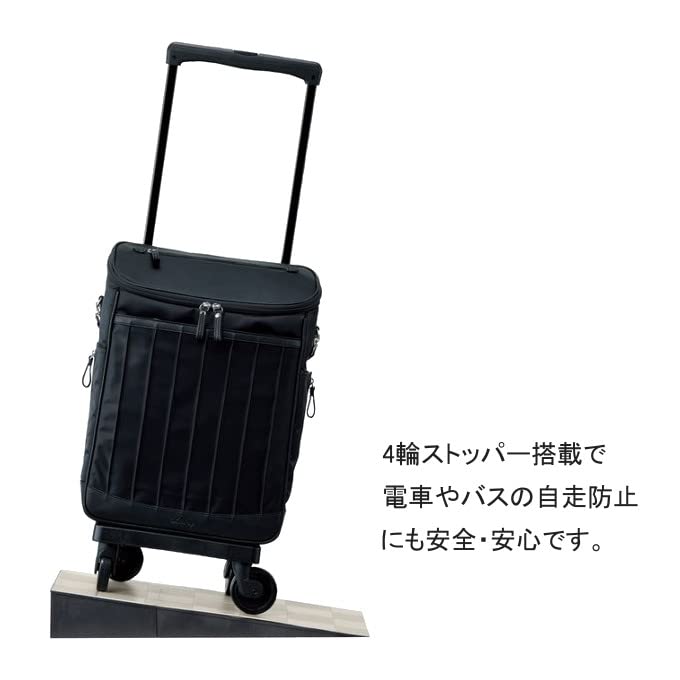 Amazon｜SWANY スワニー キャリーバッグ D-550 リニーエIII L21 ダーク 