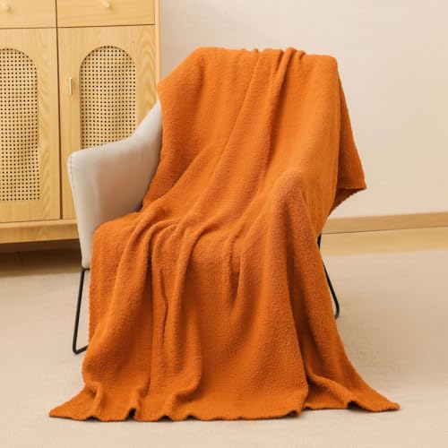 51% Off Bearberry Super Soft Fluffy Throw Blanket - Code ZW8S4CII