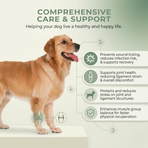 Dog Hip Brace Support + Dog Knee Brace — Hip and Cruciate Ligament Dysplasia Splint, Hind Leg Stabilizer, Joint Pain Relief, Adjustable Neoprene for Large Dogs, XL — view 2