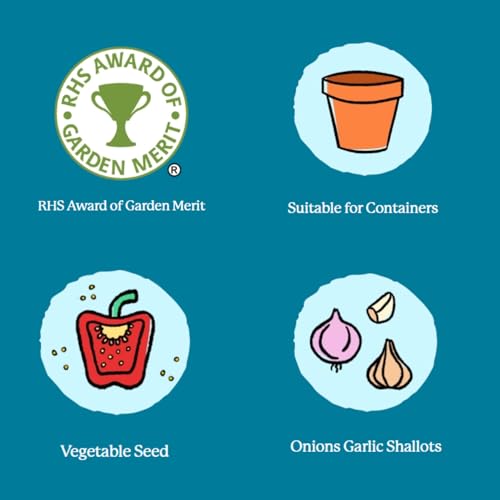 Mr Fothergill's Onion (Spring) White Lisbon - Image 3