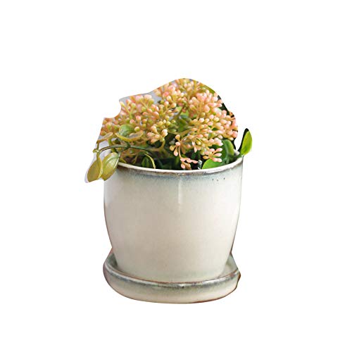 Buy Gaia Pottery Glazed crea m Ceramic Table top Planter with Saucer