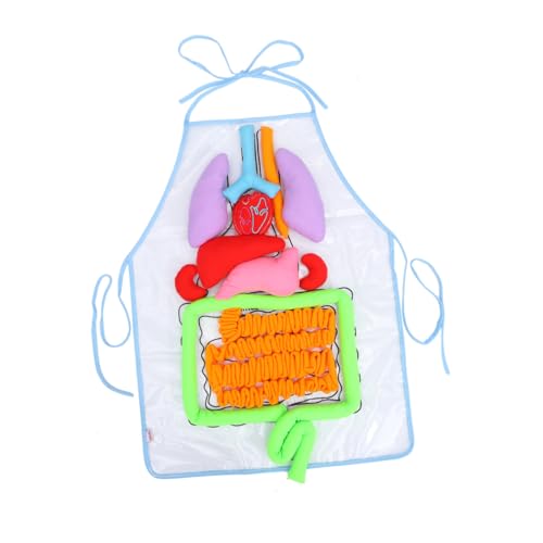 Enseignement de l'anatomie en maternelle via tablier organes humains 3D