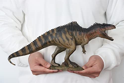 Nanmu Giganotosaurus 2.0 The King of The Border Model Carcharodontosauridae Dinosaur Figure Prehistoric Animal PVC Collector Decoration Gift for Adult (172176(Typhon) DX)