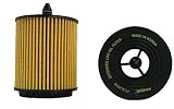 Pentius PCXL9018 UltraFLOW UFXL Cartridge Oil Filter for Chevy Cavalier/Malibu('02~'04),PONTIAC G/Am/Sunfire('02~'04),Saturn,