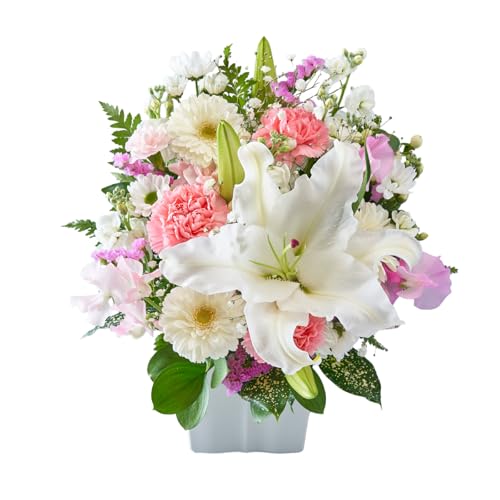THE WOW  AWg MTCYmCOLORFUL Flowersn (ԂiWsNj) AAWg  { ̂܂܏ AWg   t[AWg ݉ V~  ފ 