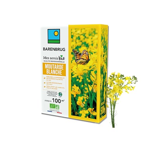 BARENBRUG - Moutarde blanche BIO - Améliore Disponibilité Éléments Nutritifs et Restitue aux Futures Cultures - Désinfecte Sol - Idéal avant Haricots, Pois,...