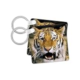 3dRose, Michigan, Detroit Zoo, tiger with open mouth - US23 DGU0010 - Darrell Gulin, set of 2 Key Chains