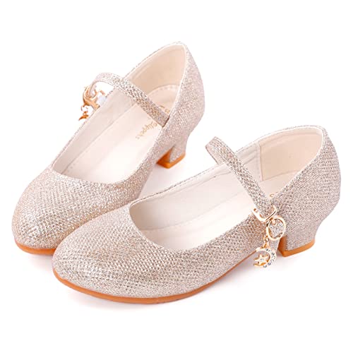 Girls Low Heel Princess Mary Jane Party Dress Shoes - Princess Ballerina Flats for School Party Wedding, Back to School Shoes for Gilrs (Little Kid/Big Kids)