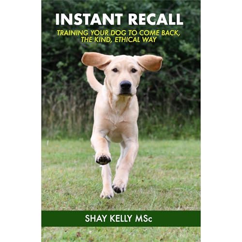 INSTANT RECALL Audiolibro Por Shay Kelly arte de portada