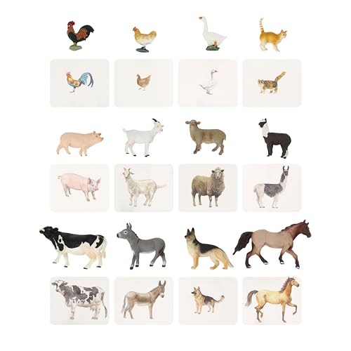 Animal Replica Matching