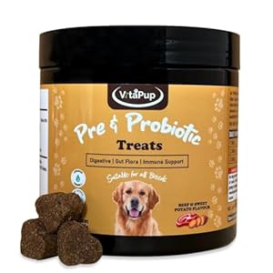 VitaPup® Pre & Probiotic Digestive Dog Treats – Relief & Support for Gut Health, Upset Tummy, Diarrhoea, Loose Stools – Natural Supplement Chews with Enzymes – Suitable For All Breeds