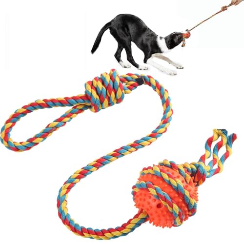 Tewzafiya Jouet pour chien, jouet à mâcher pour chiot, divertissement, accessoire de brossage des dents sûr pour l'entraînement et le divertissement des animaux de compagnie