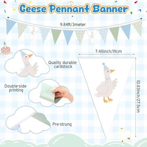 Pasimy 5 Pcs One Silly Goose Birthday Party Bunting Banners Pennant by Pasimy - Image 2