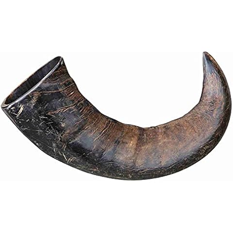 Trixie Genuine Buffalo Chewing Horn for Dogs, Large Cover