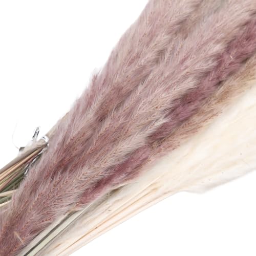 Buquê de Grama de Pampa Seca Dioche, 17 Polegadas 100 Peças Buquê de Grama de Pampa Seca Mista Buquê