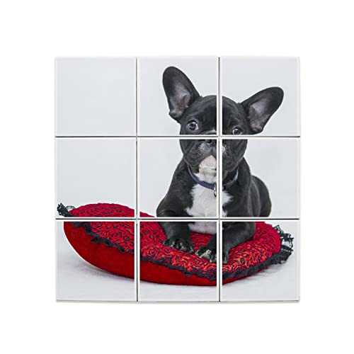 Tableau en carreaux céramique bouledogue français finition brillante 15,2x15,2 cm
