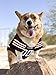 Pets First Cleveland Browns NFL Dog Jersey Extra Large