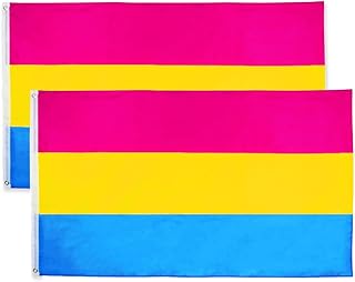 Flaglink Pansexual Flag 3x5Fts - Pansexuality Omnisexuality Pride Banner 2 Pack