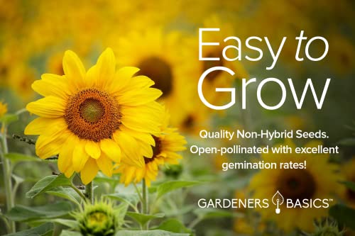 Gardeners Basics Sunflower Seeds for Planting Flowers - Velvet Queen, Skyscraper, Lemon Queen, Giant, Autumn Beauty, Chocolate Cherry, Dwarf Sunspot and Mammoth Bulk Outdoor Flower Garden, Pack of 8