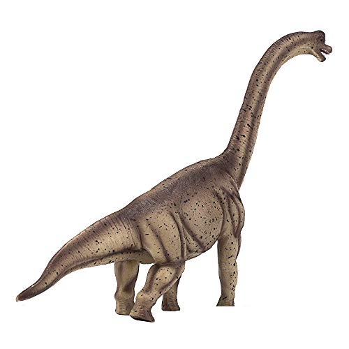 Brachiosaurio Marron MOJO décor de chambre dinosaure et vitrine - 4