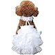 DELIFUR Weißes Hochzeitskleid für Hunde, Prinzessin, modisch, für kleine und mittelgroße Hunde(S)