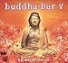 Buddha Bar V
