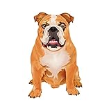 5 Après vente : Si vous n'êtes pas satisfait de nos produits, vous pouvez nous contacter immédiatement pour nous faire part de vos besoins, nous pouvons continuer à nous améliorer, vous fournir des services satisfaisants et nous assurer que votre achat est sans risque.