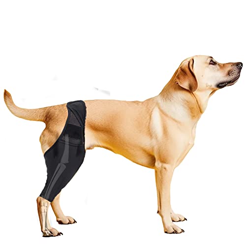 Lineiss Dog Knee Brace Dog Acl Leg Brace Dog Knee Brace For Torn Acl Hind Leg Dog Knee Brace For Luxating Patella Dog Hip Support Brace Adjustable Rear Leg Braces For Dogs Pet Knee Brace Black Xl #TOP21