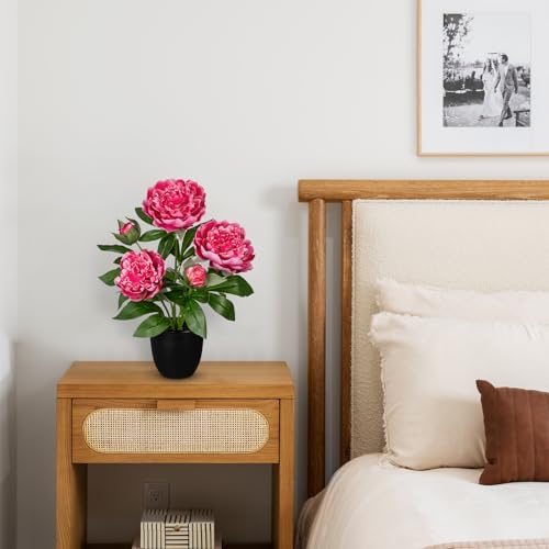 15" Peonies Artificial Flowers in Pot, Hot Pink Faux Peony Flowers Arrangement with 3 Blooms 2 Buds, Decorative Potted Floral Centerpieces for Home Table Office Desk Kitchen Counter Farmhouse Decor by GnFlus - Used condition - Image 4