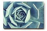 Paul Sinus Art