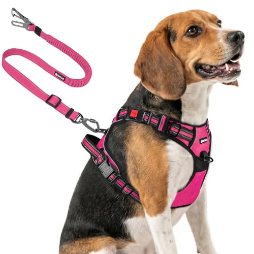 Rabbitgoo No-Pull Dog Harness with Seat Belt Tether