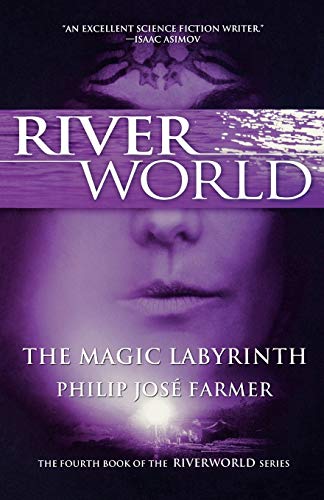 The Magic Labyrinth livre En ligne