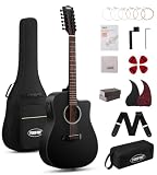 Tostar 12 String Acoustic Electric