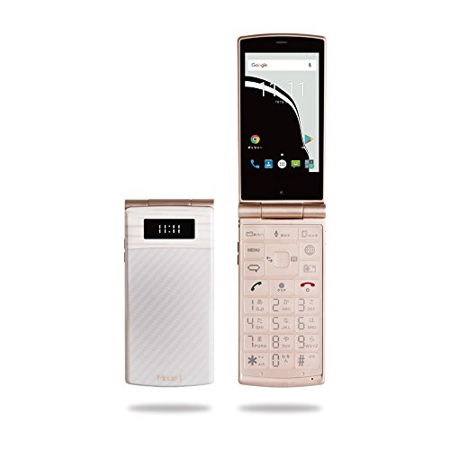 41P8ZzZIqVL.jpg