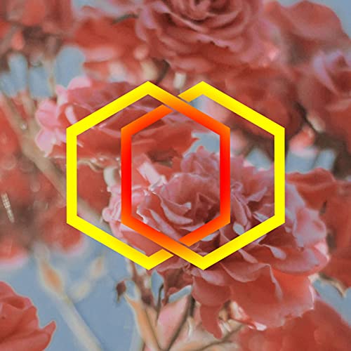 The Parish News #257