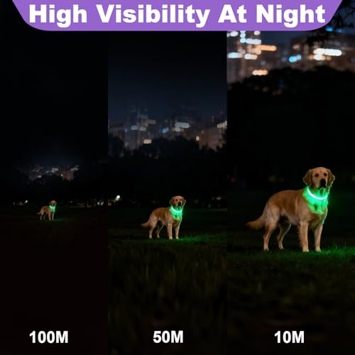 Light Up Dog Collar USB-C Rechargeable LED Dogs Collars Adjustable Flashing Dog Collar for The Dark Reflective Glow Pet Collars with 3 Lighting Modes for Medium Large Dogs Walking Safety at Night - Image 4