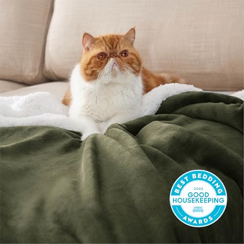 Image of Bedsure GentleSoft Sherpa Fleece Throw Blanket for Couch, Non-Heated, Thick and Warm Throw for Women and Men, Soft Fuzzy Plush Blanket for Winter, Olive Green, 50x60 Inches