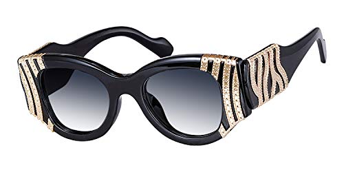 Sunglasses for women and men, UV400 Eye Protection, Anti-Glare Sun Glasses for women and men, Vlook Michael Sunglasses (Black, Sunglasses)