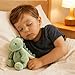 Imagen de Muñeca de Almohada Decorativa de Dinosaurio
