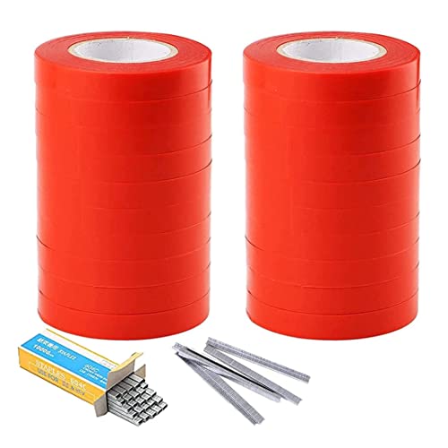 Legatrice per Piante, Nastro per Legatura di Vite, Strumento per Legatura Piante, con 20 Rotoli di Nastro e Una Scatola di graffette, per UVA, lamponi, pomodori, Verdure e Fiori (B)