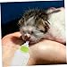 BESPORTBLE Kitten Bottle Feeding Kit Nursing Bottles Pet Feeder Safe Comfortable Nipple for Newborn Puppies Kittens