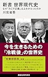 新書　世界現代史　なぜ「力こそ正義」はよみがえったのか
