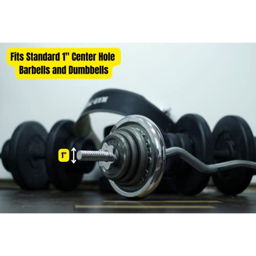 Micro Gainz Standard 1-Inch Center Hole Fractional Weight Plate Set Of .25Lb-.50Lb-.75Lb-1Lb Plates (8 Plate Set) W/Bag- Designed For Standard 1-Inch Barbells And Dumbbells, Made In Usa #TOP2