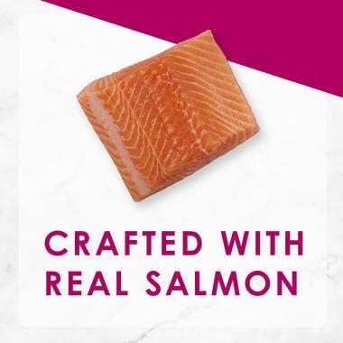 Fancy Feast 12-Pack Cans Savory Centers Salmon Canned Cat Food (12-3 OZ CANS)