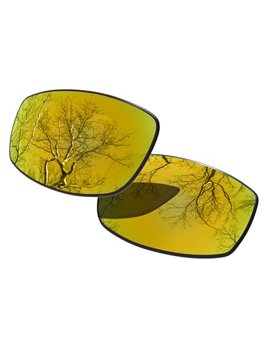 Verres de rechange Spy Optic Cooper polarisés pour route et plage